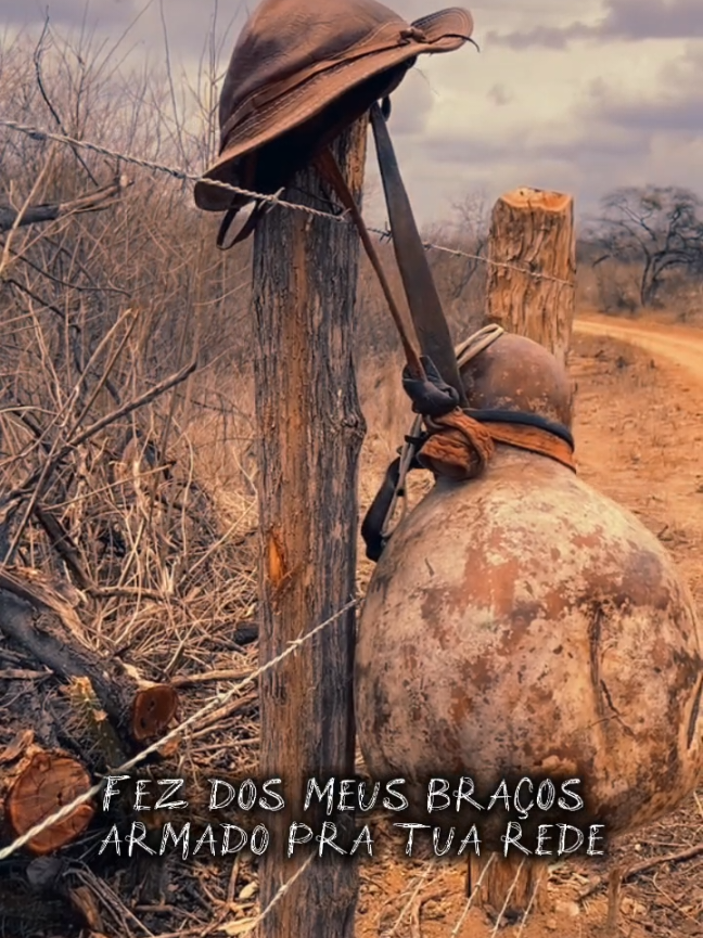 #CapCut #sertaodonordeste🌵 #forro #sertao #biamarinho #trechosdemusicas #ypfッ #violão #poesia 