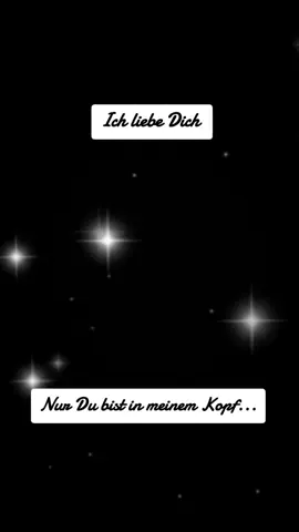 Ich liebe Dich  #zitate #fyp #fyyyyyyyyyyyyyyyy #fyviral  #black🖤lion🖤heart  #🐺🐼PandasFamiliie🐼🐺 