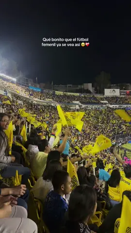 Final Liga Mx Femenil 💛 No se logró el trofeo, pero la alegría de ver ese estadio lleno no me la quita nadie 🥹 #ligamx #futbolfemenil #clubamerica #cdmx #ligamxfemenil @Club América 