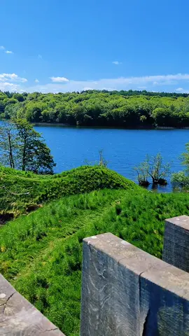 the painter has been here 😂 #skandinavien #skandinavia #danmark #heden #sø #lake #skov #skogen #skoven #europe #europa #denmark #forest #haldsø #dollerupbakker #natur #nature #northerneurope 
