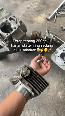 😛🤙#tiger_denbagus #tigermodifikasi #fyppppppppppppppppppppppp #herex 