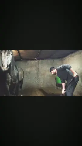 #خيل_وخياله🐎 #ايران🇮🇷 #کوردستان🇹🇯️ 