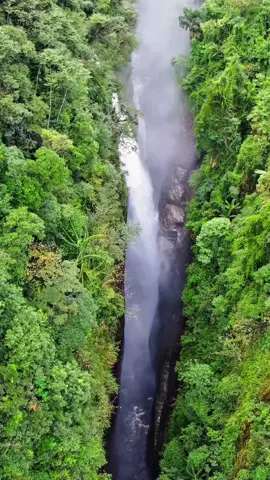thác Rồng, Bát Xát, Lào Cai#xuhuong 