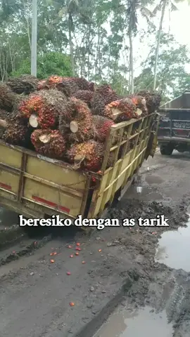 #Jalan gang desa bisa serusak ini#viraltiktok 