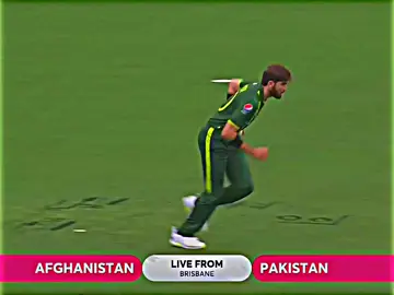 Peak Shaheen Shah Afridi 1st Over Against Afghanistan 🔥🥵☠️❤️‍🩹🤤🔥#fyp #cricket #trending #viral #illu #fyppppppppppppppppppppppp #fyppppppppppppppppppppppp 