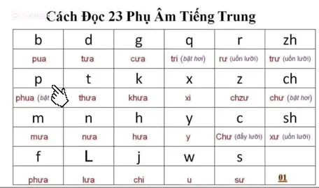 học thuộc 23 thanh mẫu (phụ âm) trong tiếng trung #batdauhoctiengtrung #tuhoctiengtrung #pinyin 