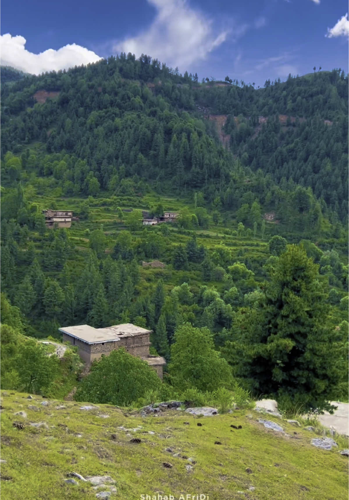 Khog Watan Tirah valley ⛰️ 🌸            #tirahvalley #explore #foryoupage #mazigary #watan #peaceful #typ #viralvideo #shahab_afridi313 