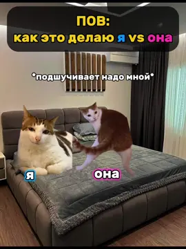 Как это делает я vs как это делает она. Жиза или как? 😂#котята #жиза #мем 