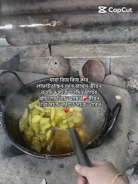 যারা বিয়ে বিয়ে করে লাফাইতাছেন শুনে রাখেন জীবন ততদিন সহজ যতদিন মায়ের আঁচলের নিচে আছেন❤️‍🩹জীবন এতো সহজ না ,যত সহজ ভাবেন💔😅#foryou #trending #viralvideo #foryoupage #fypシ゚viral🖤tiktok 