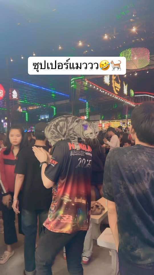 บิน🐈🤣😂🐒