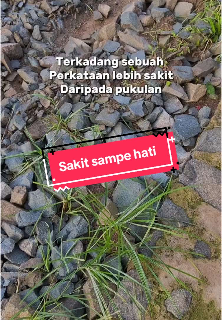 Well🤘🏼#ayambalapcomunity🐔 #pemburuhayambodas #pekerjakeras #fy #drivermuda #phbpusat #kurirayam #pejuangrupiah 