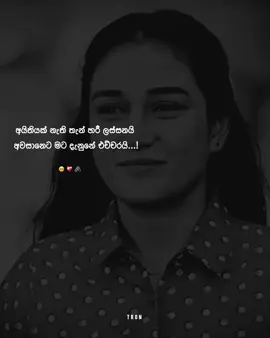 එයා සතුටින්නම් මට ඒ ඇති 🥺❤️‍🩹 #foryou #foryoupage #viral #1m @tron_vibe🎧💔 @ꜰɪxᴀʀ ᴍᴜꜱɪᴄ π 🎧🤍🌼 