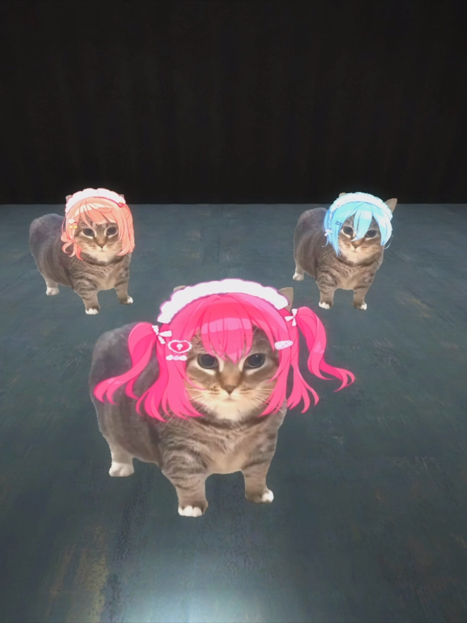 OIIA CAT 愛♡スクリ〜ム! 🐈️🐈️🐈️ @martin_gr #aiscream  @oiiacat_ethel #ethel  #uiiaiouuiiaio #spinningcat #kucing #akmal #lovelive #猫ミーム #rubychan #catmeme