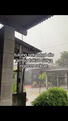 udan teros johh #fypシ゚ #xyzabca #foryou #jowopride #tulungagung24jam 