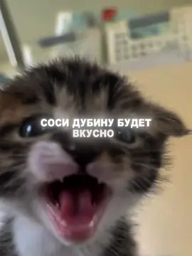 ФУЛЛ ТРЕКА В ТГК: BSWEEDY1 | #бисвиди #забиланастрес #забиланастресс #тыпишешьмнехейт #aygunkazimova #ятвойстресс #aygunkazimova😍 