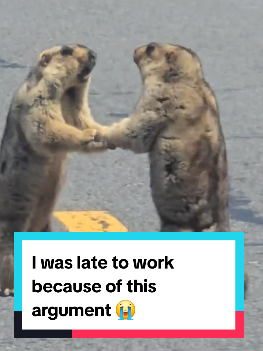 I was late to work because of this argument 😭 #argument 