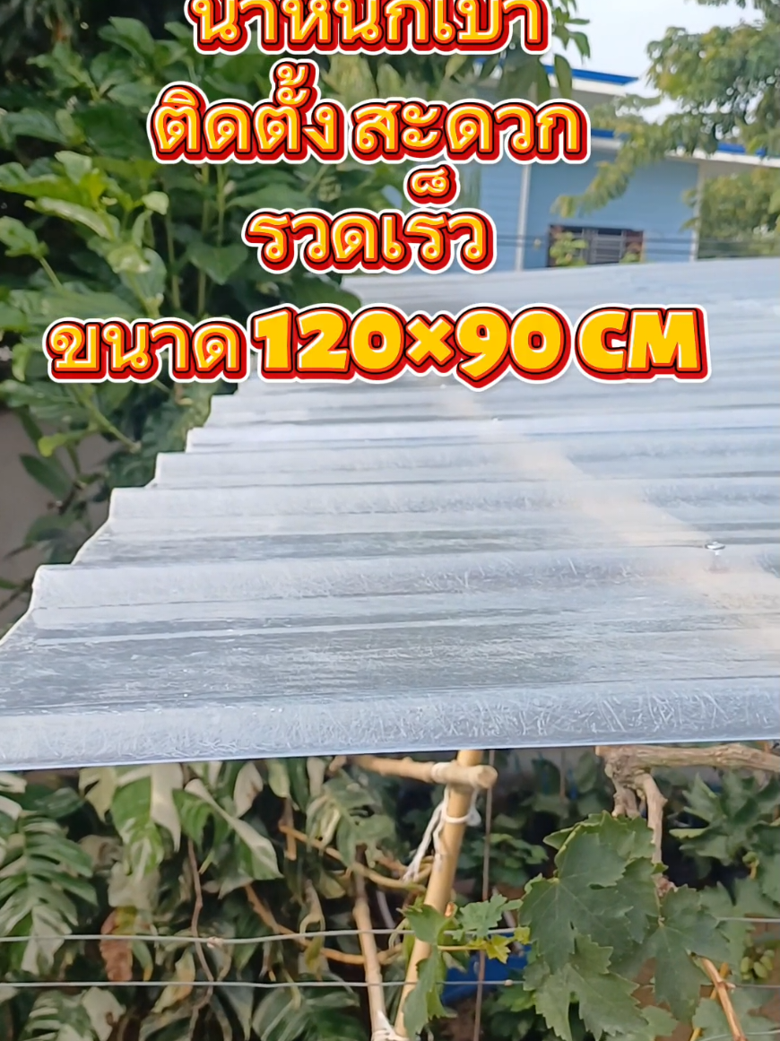 #CapCut #บ้านองุ่น #หลังคาโปร่งแสง #น้ำหนักเบา #ติดตั้งง่าย #สะดวกรวดเร็ว 