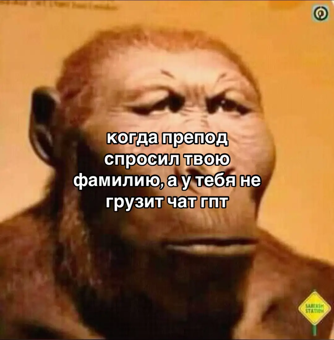 #мем #мемы #чатгпт #рекомендации #fyp 
