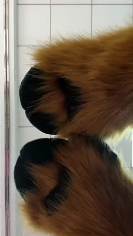 Accept its perfection while also accepting its cuteness #beastclaw #claw #glove #fluffy #plushtoyroleplay#cosplayaccessories #animepprop #cosplayerlife #fyp#TikTok#TikTokshop#TikTokshopsummerturnup #tiktokmademebuyit 