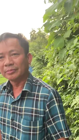 Meme mới 2025: Mày ghê thế cơ à! #memes #meme #shorts #plxhvn #phapluatxahoi