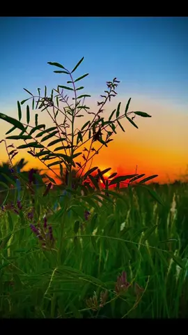 روعه#حسن_الاميري #قاسم_الساعدي #ابن_رحم #تصوري📸 #وضعيات_تصوير #🍀☘️🌿🌷🌼🌻🌺💐💮🌸🏵🌹 #سمير_صبيح #تحياتي_لجميع_المشاهدين_والمتابعين #حجي_علي #🍀🍀🍀 #🌿 #تصويري #طلع_ايدك_من_جيبك #اسلام_على_امير_المؤمنين #☘️ #علي_سمير_صبيح #محمد_الحلفي 