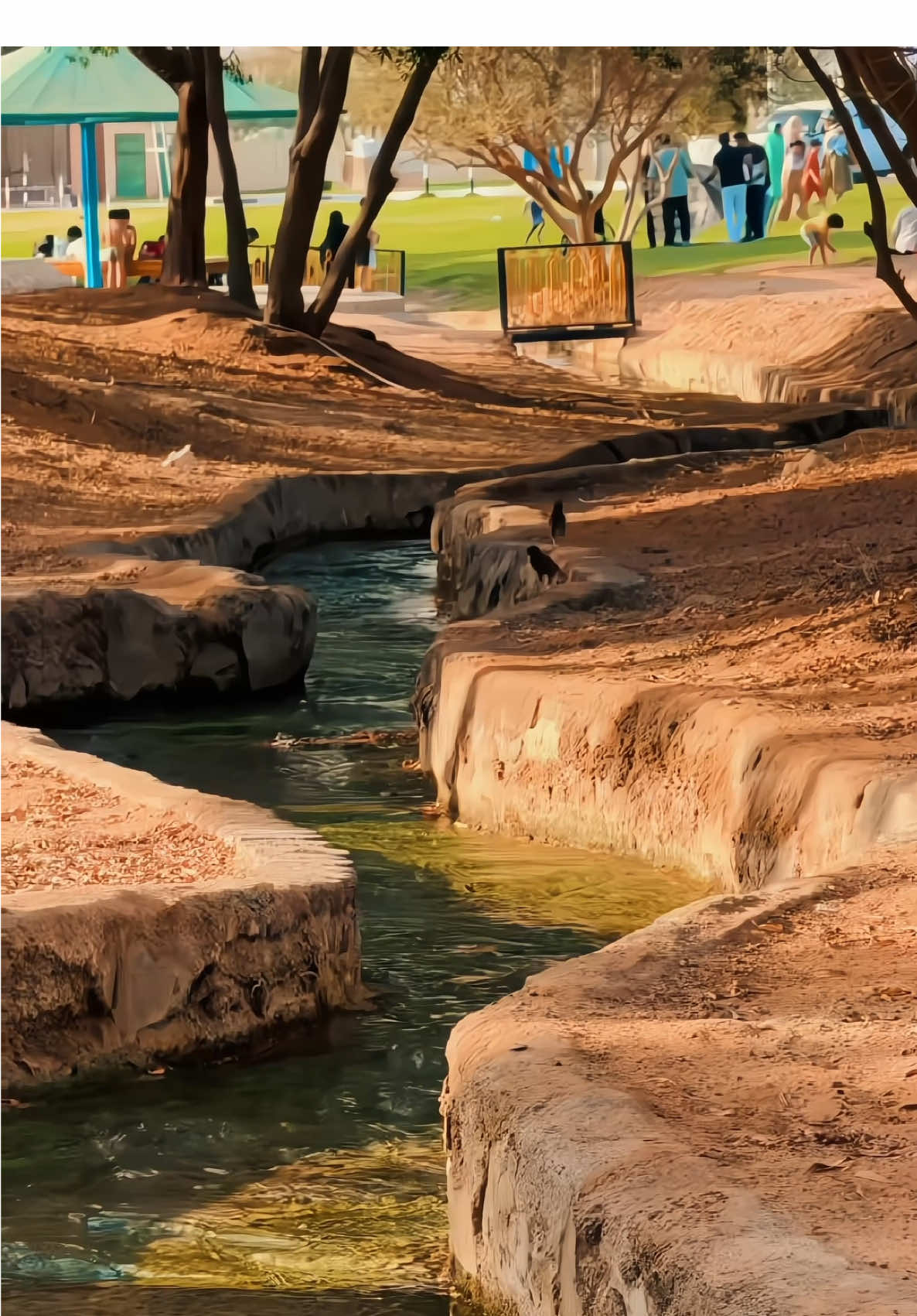 Green Mbazzarah Al Ain - UAE Hidden Gems #uae #travel #hiddengems #alainsanaiya #العين_دار_الزين #ترند #العين_أبوظبي #dubai #abudhabi🇦🇪 #qatar #oman #saudiarabia🇸🇦 #creatorsearchinsights 