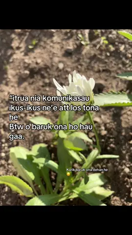 ☹️#🥀 #4u #quates #galaubrutal 