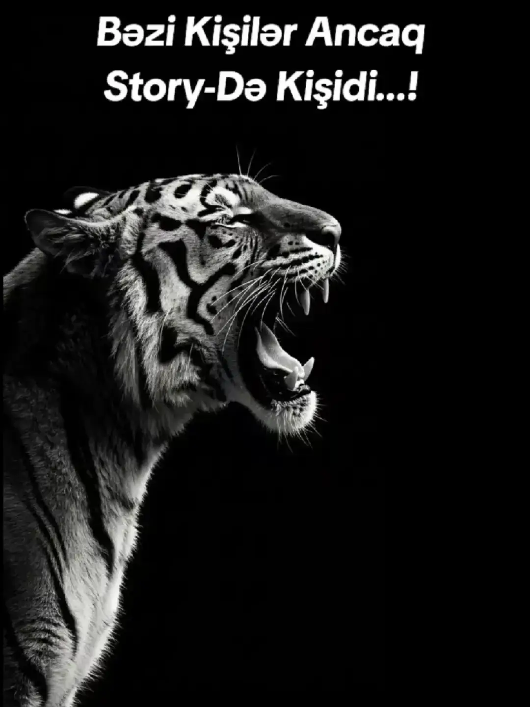 #creatorsearchinsights 