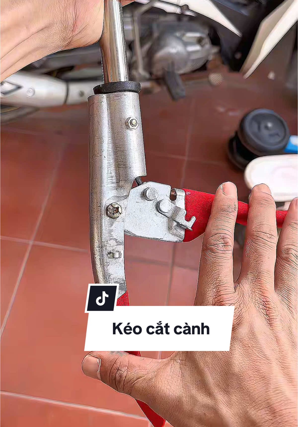 Chiếc kéo cắt tỉa cành cây trên cao. #keocatcanh #keocatcanhcaytrencao #keocatcanhcaycao 
