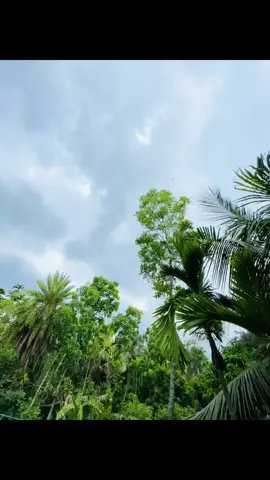 মেঘ মিলনে চেয়ে রাগ করোনা ✨❤️‍🩹#foryou #foryoupage #pppppppppppppppp #pppppppppppppppp #foryoupage #foryou 