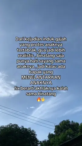 yg manusia aja akhlaknya rata rata 🤣🤣