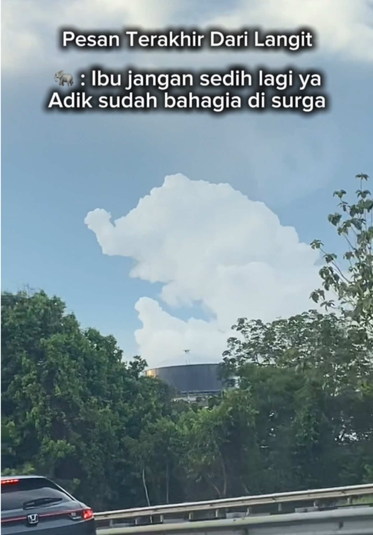 Langit seakan akan memberi Pesan Terakhir Anak Gajah untuk Ibu Gajah kalau Anaknya sudah bahagia diatas sana 🥺🥹😭 #anakgajah #ibugajah #indukgajah #Gajah #elephant #Gerik #Malaysia #AdiSyahreza #AdiLovers #ViralDiTikTok #fyp #pesanterakhir #lyodra 