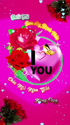 Chúc buổi tối vui vẻ ấm áp hạnh phúc. Chúc một đêm ngon giấc nhé.  #goodnight #tiktok #CapCut #2025 #@Dương Bích liễu 1971 