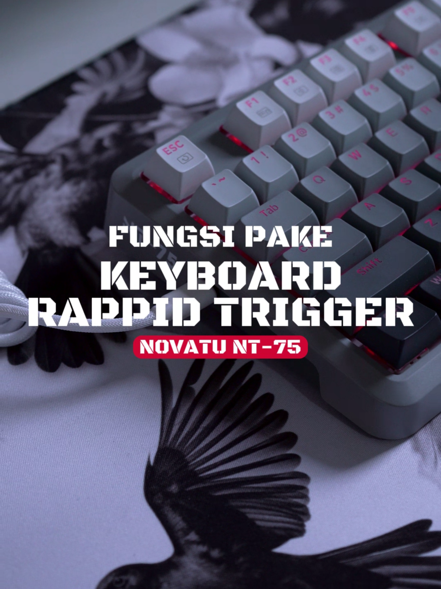 Masih main pakai keyboard biasa? 😵‍💫  Cobain Rapid Trigger, gerak lebih cepet, aim lebih presisi, reaksi instan!⠀  🎮 Udah cobain? Komen pengalaman lo! 💬 Belum? Lo wajib tonton sampe abis. ⠀  #ClutchOrDie #RapidTrigger #KeyboardGaming #gaminggear #FPSIndonesia #ValorantIndonesia #ApexLegendsID #PubgMobileID #MechanicalKeyboardID #GamersIndonesia #SetupGamingID #FYPGaming #FYPIndonesia #PCGamingID #KeyboardCepat #KeyboardResponsif