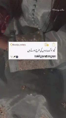 جہاں دانہ وہاں ٹھکانا🤌🏻🕊️🌚 #hooriya_writex #foryou #foryoupage #fyp #Viralvideos #standwithkashmir 