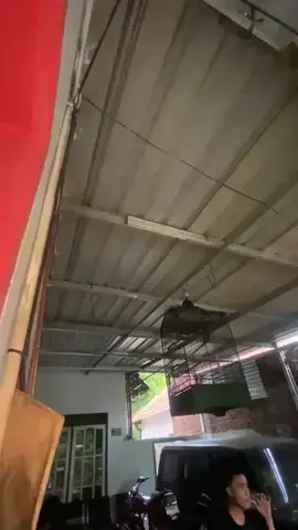 GK banter pokok asix🥰#w9 #walisongoofficial #fypシ゚viral #fypシ゚viral 