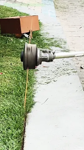 Oddly Satisfying Sensations | ASMR | #Perfect #edge ! 🍀💚 #lawntok #grasstok #gardentok #landscapersoftiktok #asmr #oddlysatisfying #Satisfying #mowing #lawn #garden #clean #CleanTok #landscape #gardening #lawncare #mowingthelawn #lawnmower #creatorsearchinsights #brushcutter #lawntiktok #lawnsoftiktok #lawnmowing #lawns #grasstiktok #cuttinggrass #satisfaction #spring #goviral #original #string #brushcutter #slowmotion 