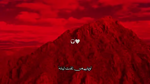 اويلي من لفت ليلة | ينصح بارتداء السماعات 🎧🤍 لتربة الأفضل  #قصائد_حسينيه #هدوء #عباس_عجيد_العامري 