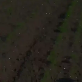 وَلَا تَحْسَبَنَّ الَّذِينَ قُتِلُوا فِي سَبِيلِ اللَّهِ أَمْوَاتًا بَلْ أَحْيَاءٌ عِندَ رَبِّهِمْ يُرْزَقُونَ|ياسر الدوسري|تصميم جديد ❤️‍🩹#ياسر_الدوسري #تلاوة_خاشعة #صوت_جميل #في #قران #quran #قران_كريم #quran_alkarim #fouryourpage #اكسبلور #اكسبلورexplore❥🕊  #fyp 
