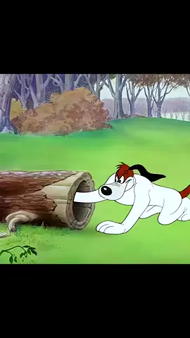 Groopy catches a fox! #cartooncharacter #cartoonclips #cartoonmovie #cartoonsfunnyvideo #kids #kidstiktok #kidsoftiktok #forkids 