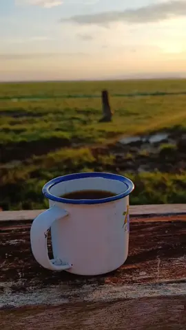 feliz Y Bendecido Día Mi Gente Criolla ❤️ modo gratitud  @Vitico_Castillooo  IG:laelorzana 