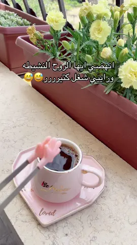 انهضي ايها الروح النشيطه وراييي شغل لفوق راااسي 😭😭😭#اعادة_النشر🔃 #foryoupage #الشعب_الصيني_ماله_حل😂😂 #قهوتي_farah_al_hyaat🤎 #تصويري_احترافي_الاجواء👌🏻🕊😴 #fyp 