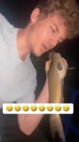 This fish has WAY too much personality #fish #pet#foryou #funny #animals #tiktok #funnyvideo #funnytiktok #fishtiktok 