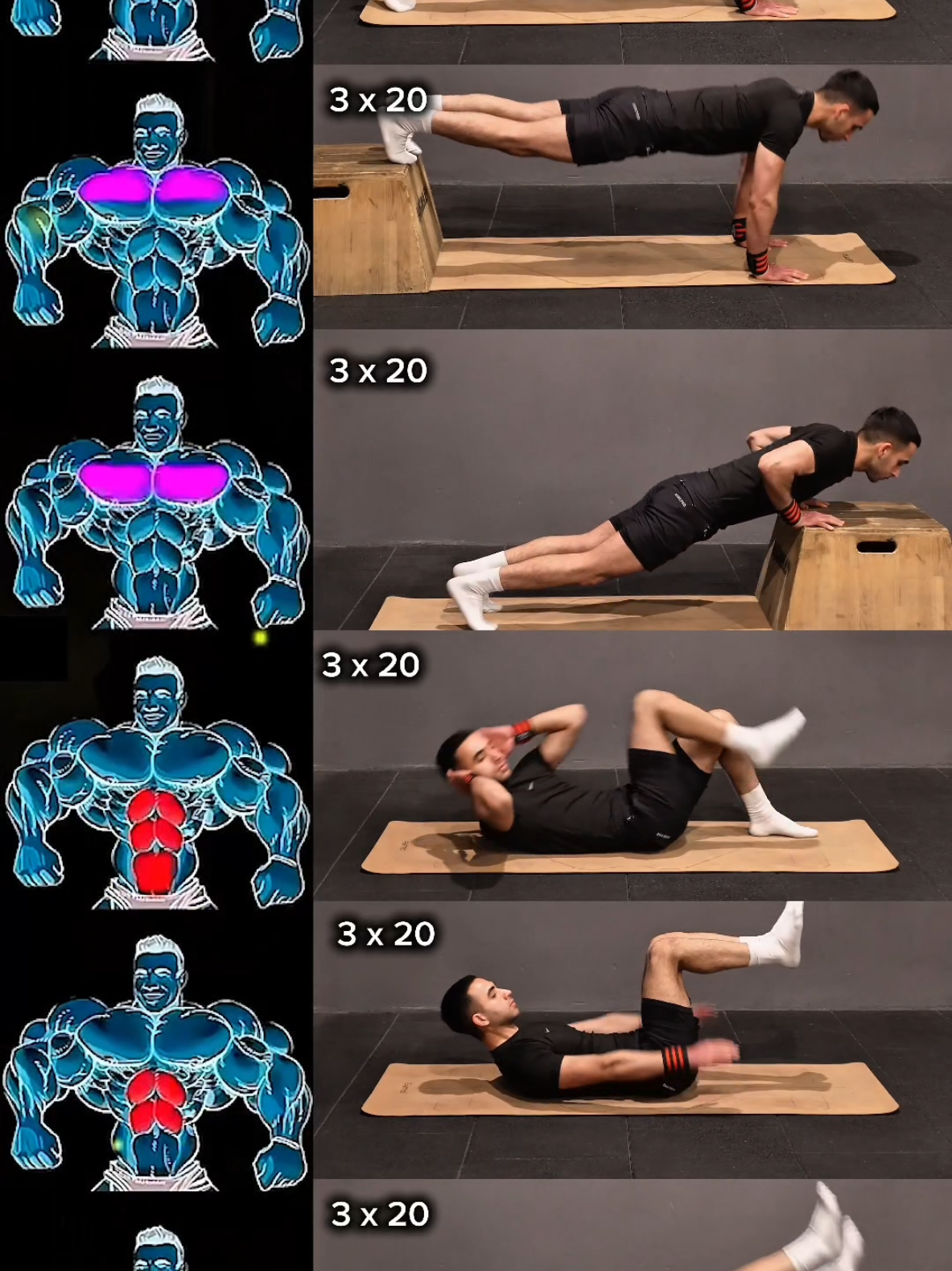Home workout ✅ #fitnessmotivation #motivation #Fitness #shortvideo #aesthetic #shorts 