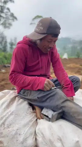 Golek Rizqi seng berkah #fypage #fyppppppppppppppppppppppp #pengikut #tani #prau #jateng #petanimuda #petanikentangdieng #kentangdieng #kentangdieng #karyawan #buruh #muslim #muslimah 