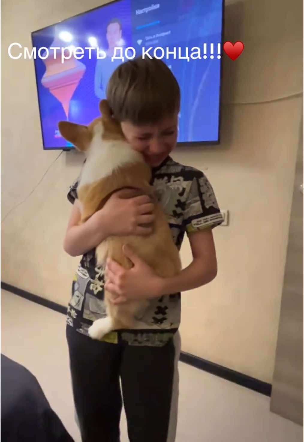 #подарите мне собаку #корги  #красноярск #мечта♥️♥️♥️