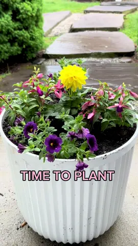 #flowers Planting tips. This is a game changer. The easiest way to plant your flowers 🌻 #gardening #DIY #LifeHack #viral #garden #plant #planting #gardenhacks #flower #flowers #Love #fyp #fypシ #tips #spring #Summer #beautiful #nature 
