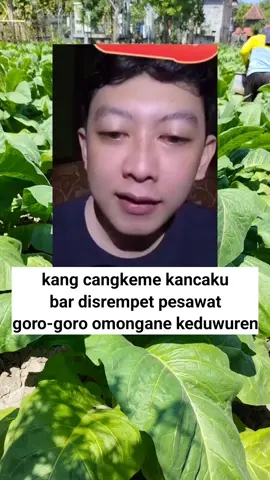 lek omongan ono duwur-duwur moh aku ngono kuwi #fyp?tiktok♥️ #eripras3_ #eripras #eriprasfans #eripras3_🤣🤣🤣ngakak #fyp #eripras3 #katakatalucu #eripraslive 
