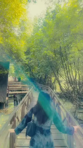 🦋