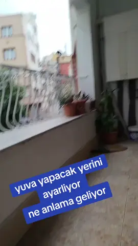 #keşfetbeniöneçıkar #tiktokviral #izlesene #viraltiktok #gülmekgaranti #fyppppppppppppppppppppppp #tiktokindia #keşfet 